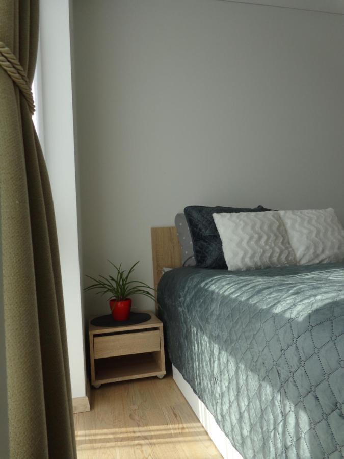 Elzbietos Centro Apartamentai Apartament Wilno
